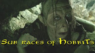 The 4 Types of Halflings of JRR Tolkiens Lore [upl. by Bough]