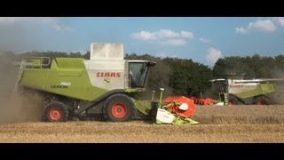 Wheat Harvest  The Trailer [upl. by Norraa99]