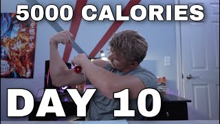 Eating 5000 Calories Day 10  3 pounds [upl. by Storz]