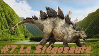 INFO DINO 7 Le Stégosaure Le reptile cuirassé [upl. by Ahsinev]