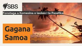 Fonotaga a Komesina o leoleo i le Pasefika  SBS Samoan  SBS Samoan [upl. by Netniuq]