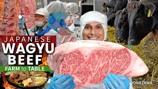 How Japanese Wagyu Beef is Graded  Farm to Table ★ ONLY in JAPAN [upl. by Columbus]