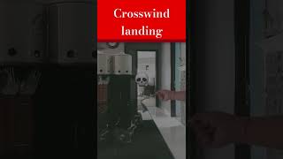 Normal land vs crosswind land aviation crosswindlanding automobile crosswind landing [upl. by Josiah]