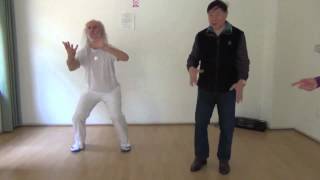 林厚省 Lin Housheng teaching Taiji Qigong Shibashi Francois Caron [upl. by Dell857]