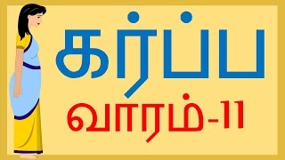 Pregnancy Week by Week  Tamil  Week 11  வாரம் 11 [upl. by Riki48]