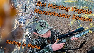 Rut Hunting Virginia Muzzleloader Season DEER EVERYWHERE Grunting In Bucks [upl. by Raeann]