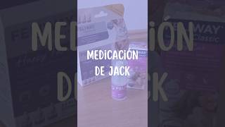 ¿Qué medicación le damos a Jack ⚠️ Todo bajo recomendación veterinaria cats gatos catshorts [upl. by Anderea]