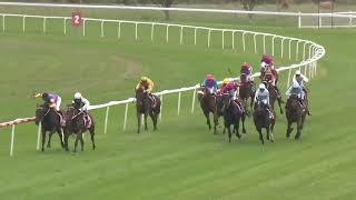 Kilcoy 20240126 Race 2 [upl. by Adli]