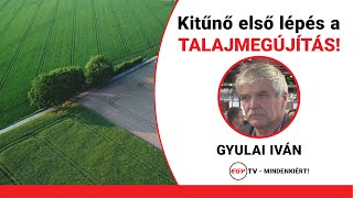 Gyulai Iván interjú a TMG REAG VII Talajélet Konferencián a fajgazdagság fontosságáról [upl. by Ssepmet]