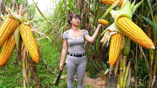 Harvesting Sweet Corn Go To Market Sell Forest Fruit Wild Banana Cooking  Tiểu Vân Daily Life [upl. by Thgirw462]