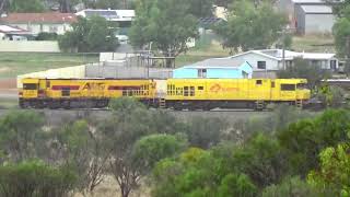 P class locos grain trucks and even a rain storm at MINGENEW Friday 29 November 2024 [upl. by Zephaniah]