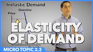 Elasticity of Demand Micro Topic 23 [upl. by Nessy]