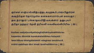 குறிப்பிடத்தக்க அழகைப் பெறுதல்  சௌந்தர்ய லஹரி ஸ்லோகம் 80  Soundarya Lahari Shloka 80 Tamizh [upl. by Uziel348]