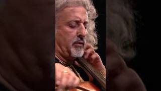 Legendary cellist Mischa Maisky playing Tchaikovsky in Verbier  shorts deutschegrammophon [upl. by Anaujit863]