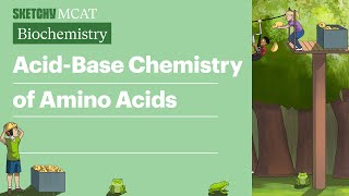 Acid Base Chemistry of Amino Acids  Sketchy MCAT Biochemistry [upl. by Swetlana87]