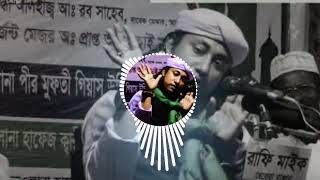 Doyal Tor Laiga Re I দয়াল তোর লাইগা রে। Taheri dj Remix song 2024 [upl. by Eimmak]