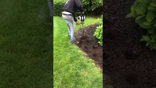 JampR Custom Landscaping Inc using a Power Planter [upl. by Oluas]