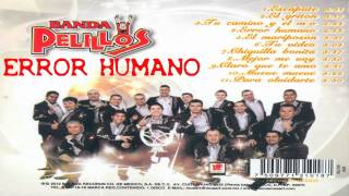 Banda Pelillos Error Humano [upl. by Guenna]