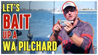 Quick Guide How to Bait Up a WA Pilchard for Fishing Success  StepOutside with Paul Burt [upl. by Delgado]