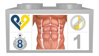 Abdominais em 8 minutos  sem música [upl. by Abott406]