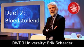 Het Brein deel 2 Prof dr Erik Scherder in De Wereld Draait Door University [upl. by Aihsemat928]