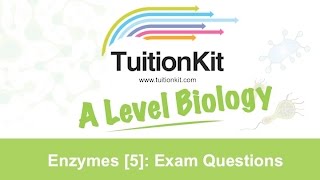 Enzymes 5 Exam Questions High band Biology [upl. by Konopka990]