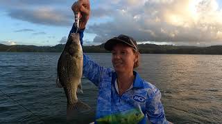 Bass Fishing Baroon Pocket Dam [upl. by Doak]