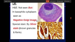 Lecture 3 Histology  Endoplasmic reticulum Golgi apparatus✨ [upl. by Manville]