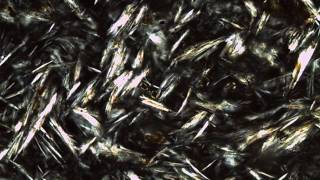 Trachyte Obsidian Thin Section [upl. by Aeet]