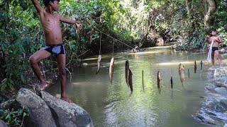 Fishing Technique Trap  Smart Boy Trapping Fish With Line Multiple Knots  Cambo Trap Country Fish [upl. by Warfourd]