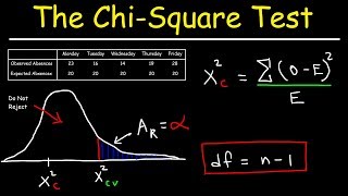 Chi Square Test [upl. by Nylevol]