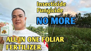 FOLIAR FERTILIZER NA ALL IN ONE [upl. by Loresz781]