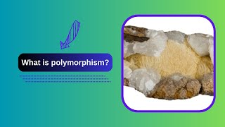 What is polymorphism [upl. by Monson]