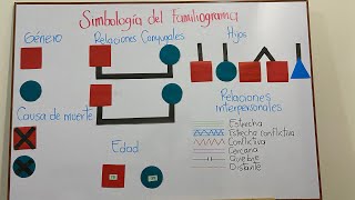 Simbología del familiograma [upl. by Dymphia]