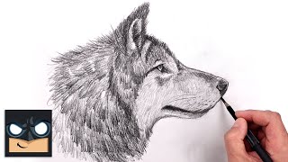 How To Draw a Wolf for Beginners  Sketch Art Lesson Step by Step [upl. by Ajnot]