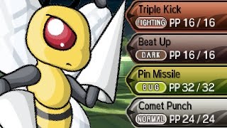 FULL MULTI HITTING POKEMON MOVES TEAM [upl. by Ecenaj141]