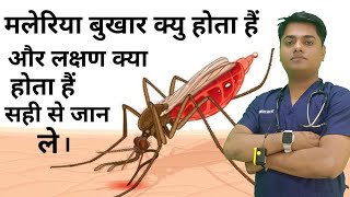 मलेरिया बुखार क्या होता है  मलेरिया के लक्षण क्या है  cause of malaria fever symptom of malaria [upl. by Airamasor]