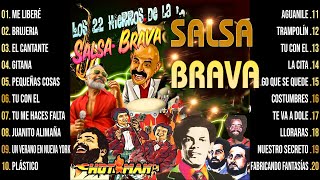 Los 22 Hierros De La Salsa Brava Vieja Hotman 👑 Mix Salsa Brava Para Bailar 👑 Salsa Dura De Oro [upl. by Isadora]