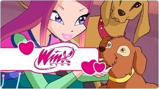 Winx Club  Serie 4 Episodio 3  Lultima fata della terra clip3 [upl. by Marcy822]