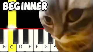 Chipi Chipi Chapa Chapa Dubi Dubi Daba Daba Meme  Fast and Slow Easy Piano Tutorial  Beginner [upl. by Netnert]