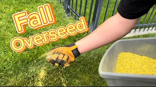 The Ultimate Guide to Fall Overseeding overseed lawncare lawn [upl. by Monie]