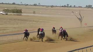 Longreach 20240615 Race 5 [upl. by Anairotciv]