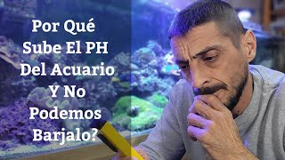 🔵 Por Qué Sube El PH Del Acuario Y No Podemos BarjaloPH Alto En Acuarios Acuarios MB [upl. by Aleahcim]