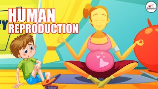 Human Reproduction l Lecture 3 l Biology l NEET [upl. by Orimar]