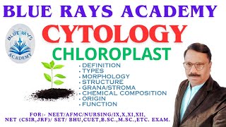 CYTOLOGY  CHLOROPLAST DEFINITION  TYPES  MORPHOLOGY  STRUCTURE  CHEMISTRY  FUNCTION [upl. by Dde496]