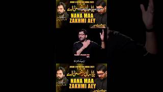 NANA MAA ZAKHMI AEY  Ayam e Fatimiyah Mir Hasan Mir shia [upl. by Eniamrehc]