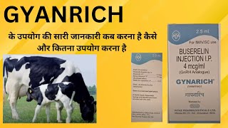 Gyanrich injection  buserelin injection के उपयोग की सारी जानकारी vet cattle vetinjection cow [upl. by Hepsiba]