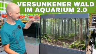 Der versunkene Wald bekommt ein neues Aquarium  Amtra Alux review amp Einrichtungsbeispiel [upl. by Nwahsirhc566]