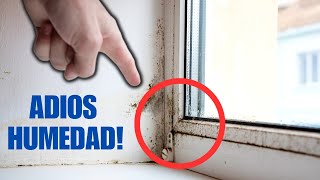 🔴 CONSEJOS Rápidos y Sencillos para ELIMINAR la HUMEDAD de tus Ventanas 🌧️🌧️ [upl. by Eelyab]