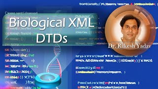 Biological XML DTDs  Bioinformatics [upl. by Leasim]